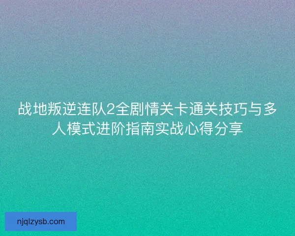 战地叛逆连队2全剧情关卡通关技巧与多人模式进阶指南实战心得分享